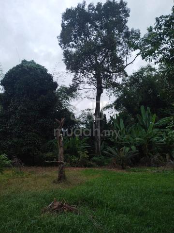 Corner Lot 52,377 sqf Taman Lee Siew Joo Seremban ampangan senawang 1