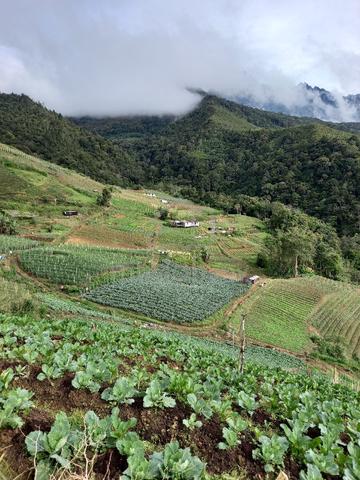 Tanah Kundasang TerMurah!! 1