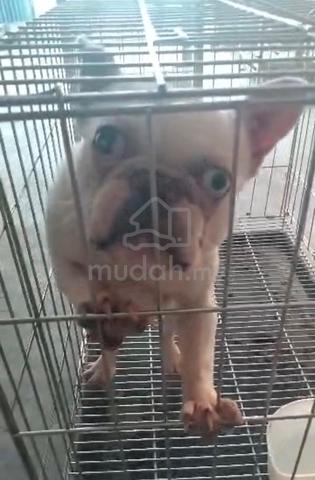 Carousel Image
