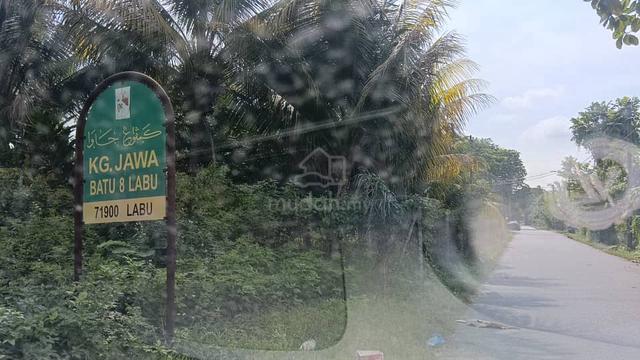 Tanah cantek 1