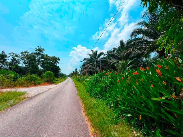 Pontian @ 8.3acre@ Kayu ara pasong Agricultural land 1