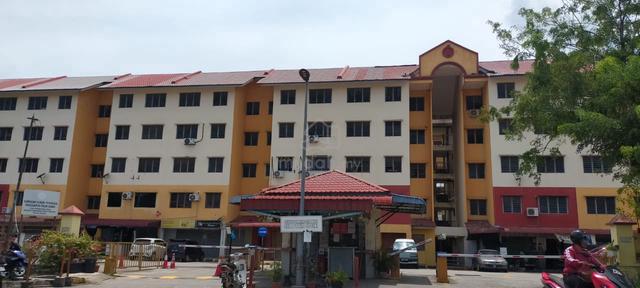 Pauh Damai 1