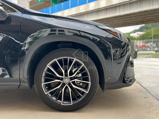 LIMITED SALE UNREG 2022 Lexus NX 250 2.5 VERSION L - 5