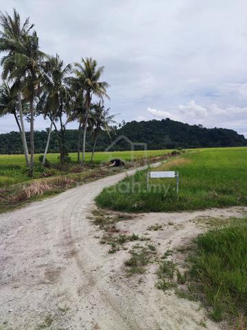 Sebidang tanah untuk dijual di kota kuala mudah kedah 1