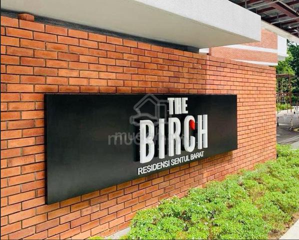 The Birch 1