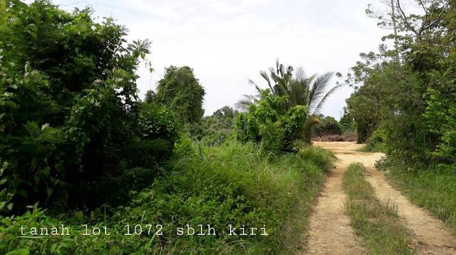 Tanah Lot Banglo 1.4 Ekar Demit Kubang Kerian, Kota Bharu 1