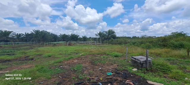 Tanah Kebun Jemaluang Mersing Johor Utk Dijual 1