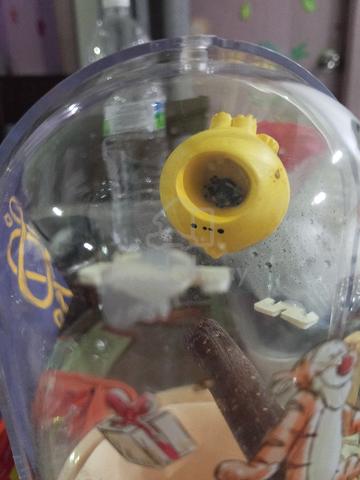 Carousel Image