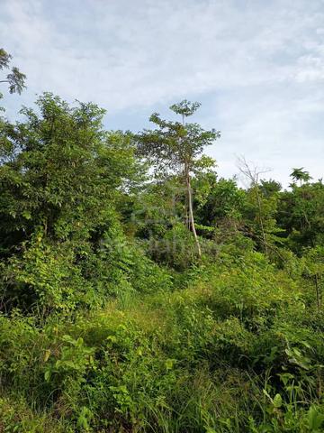 Tanah Di Pendang Untuk Di jual 1