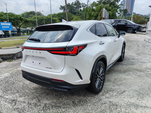 2023 Lexus NX 250 2.5 Version L S/R HUD DIM BSM - 3