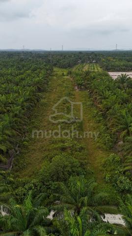 Tanah Kg  Banjar Ayer Tawar 1
