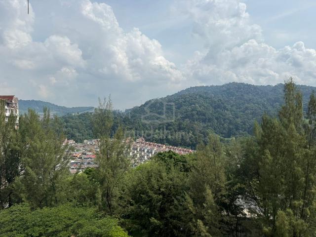 Venice Hill 1