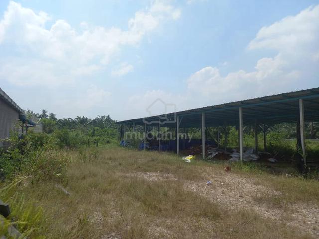 Agricultural Mukim Api Api Kuala Selangor Assam Jawa Bukit Rotan Jeram 1