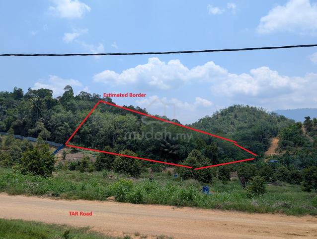 Freehold 6.1 Acre Land For Sales Ready to Clear & Plant 1