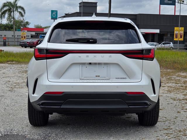 2023 Lexus NX 250 2.5 VERSION L SROF 4CAM 27K KM - 4