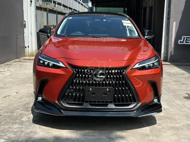 Lexus NX 250 Luxury Orange Color Rare In Market 1 - 4
