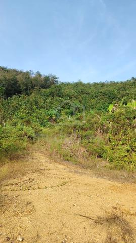 Agriculture land batang Kali ULU yam rent 1