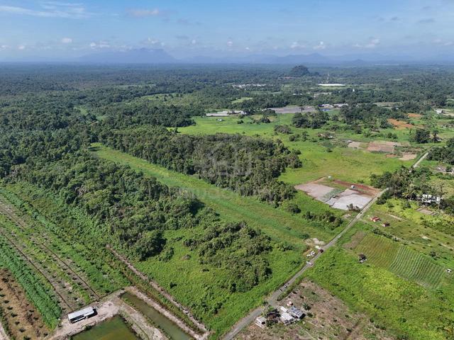 Batu Gong Land For Sale 1