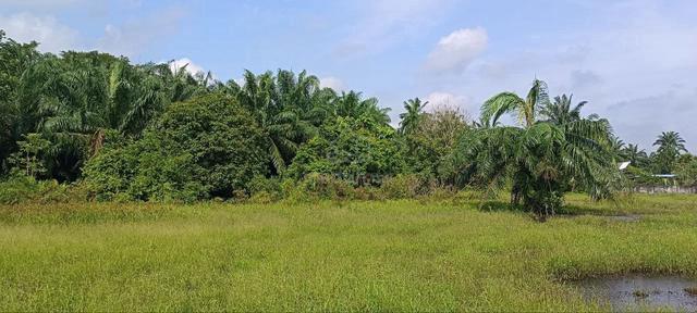 Lot Banglo Status Bangunan Geran Individu Sg Pelek, Sepang 1