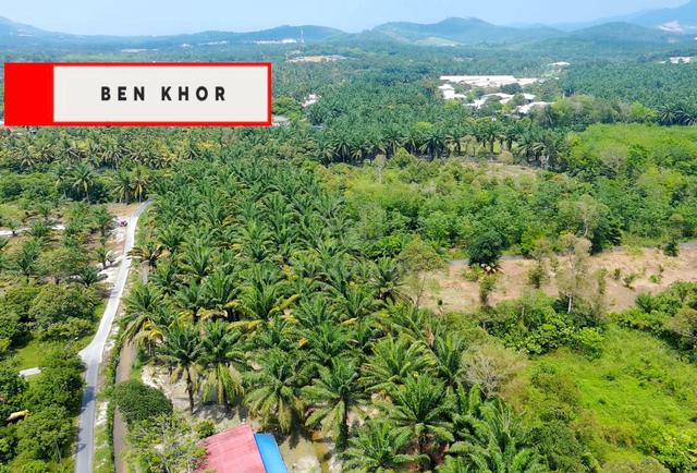 1.02 acres | Agricultural Land | Bukit Teh | Bukit Mertajam| PENANG 1