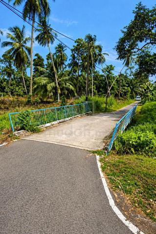 Pontian Serkat @3.14acre mixed Fruit Farm @For Sale @Kampung Serkat 1