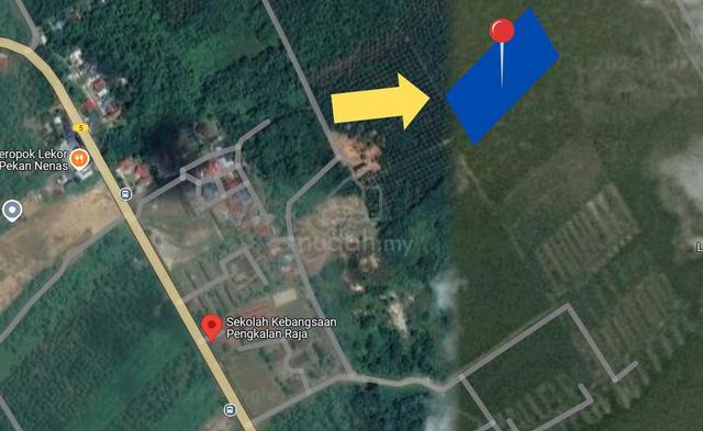 Batu 28 Pengkalan Raja Pekan Nenas Nanas Agricultural Land Residential 2