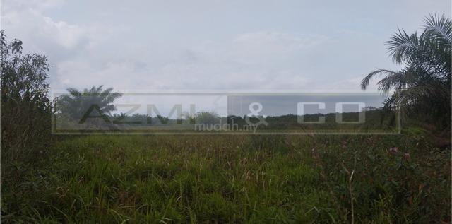Tanah 3 Ekar Parit Sonto, Ayer Hitam, Batu Pahat, Johor 1