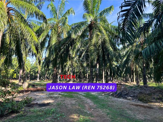 Agriculture Land🌿 RM4.30/sqft |Semeling Bedong |Under Market Value❗️ 1