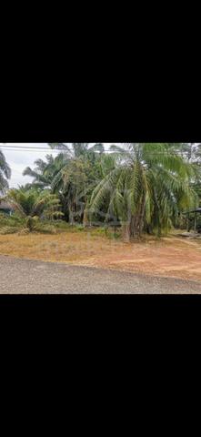 Tanah tepi jalan utama berdekatan uitm semujuk, Jasin 1