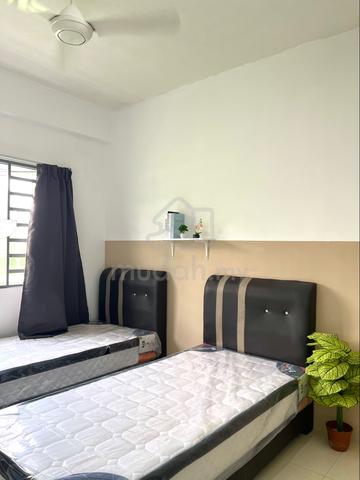 (Male) Sharing Batu Kawan 1