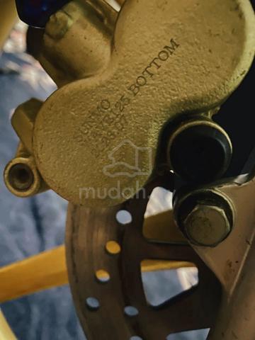 Carousel Image