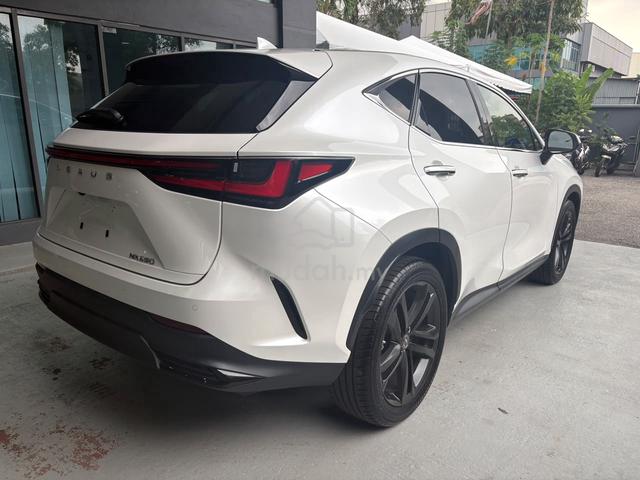 2022 Lexus NX250 2.5 LUXURY/AC SEATS/BLACK LEATHER - 4