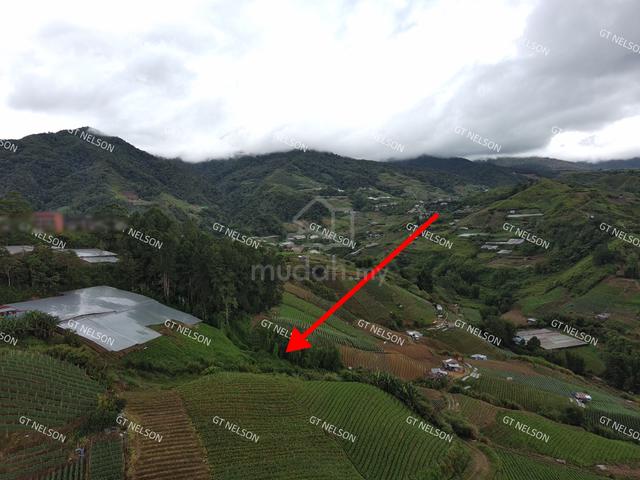 kundasang 0.8acre for sale 200k 1
