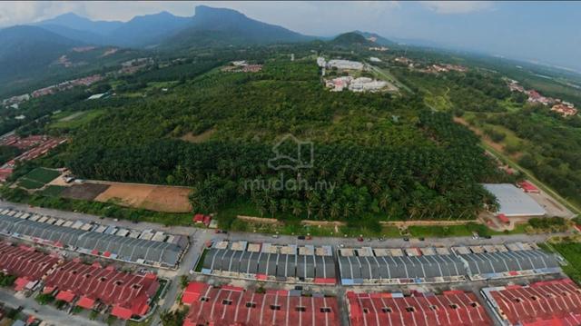 15 Acres Residential Zoning Land Merbok Kedah Near UiTM – Freehold 1