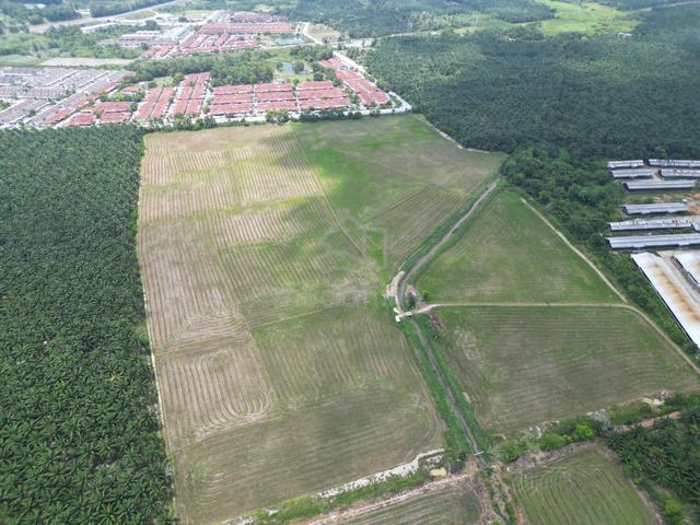 For sale Semeling near aimst school Agriculture Land Padi land best 1