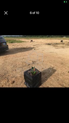 Lot banglo kg lundang paku.500m klinik lundang paku 5