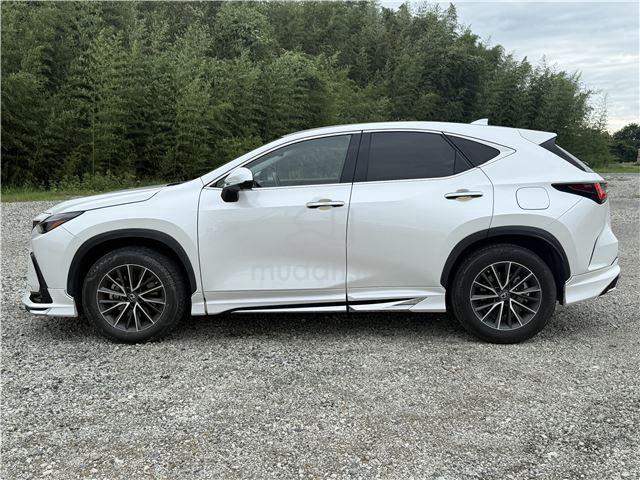 2023 Lexus NX250 2.5 BASE GRADE (A) ORIGINAL TRD - 4