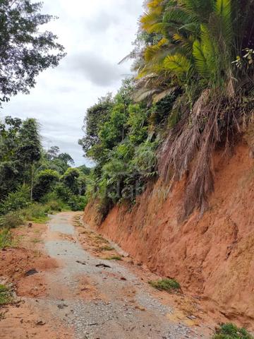High-Value Agricultural Land Near Monkey Canopy, Sungai Long 1
