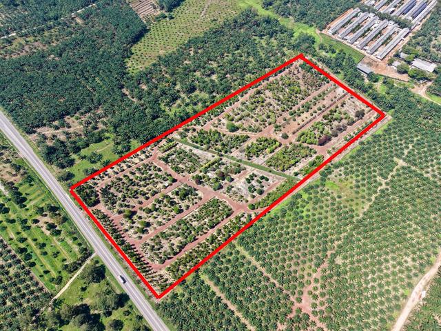 Agri Land For Sale Jln Labis - Yong Peng 1