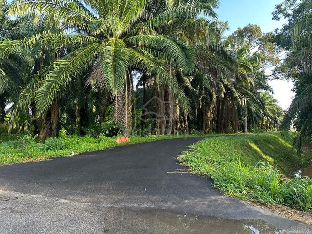 Penang Bertam Residential Freehold Land For Sale 1