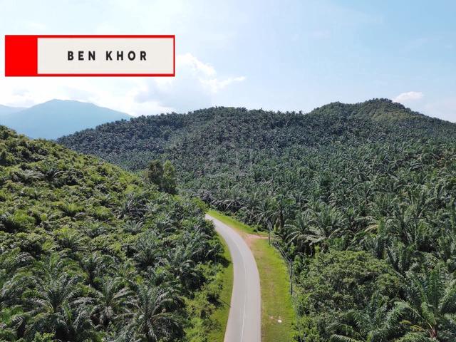 121 Relung | Agricultural Land | Mainroad | Tawar | Baling | KEDAH 1