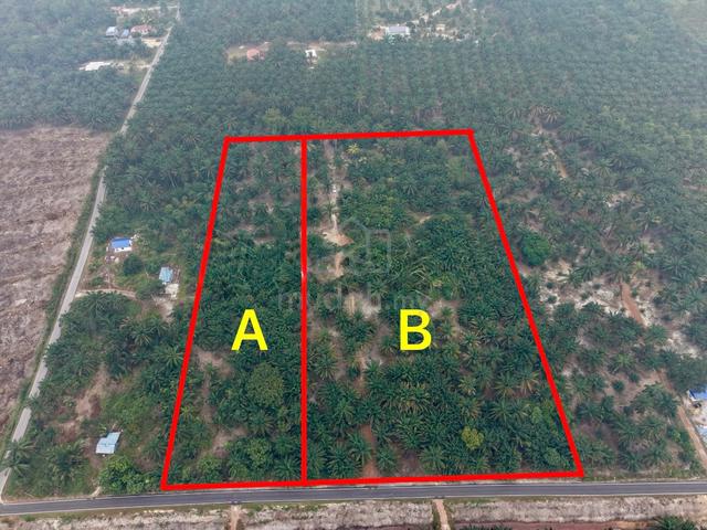 Oil Palm land Parit Sonto 86100 Ayer Hitam 1