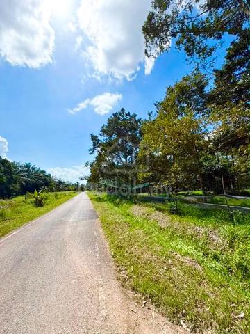 Pontian Durian Farm 3.78 acres 1