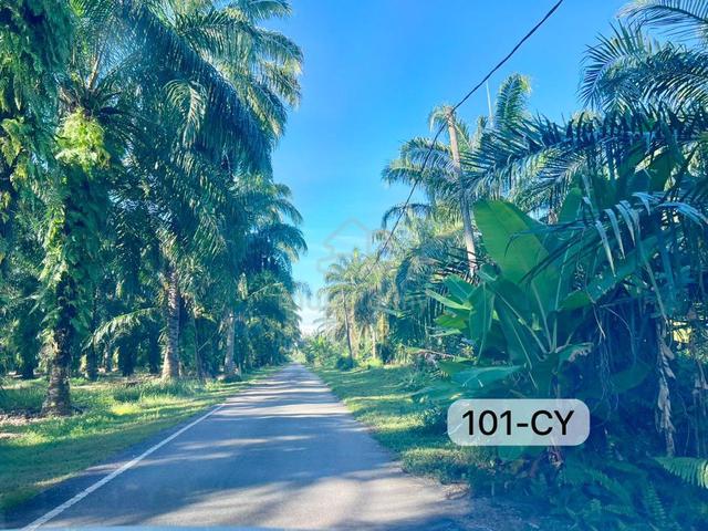 5 ACRES !! ROAD ACCESS READY !! Telok Panglima Garang Agriculture Land 1