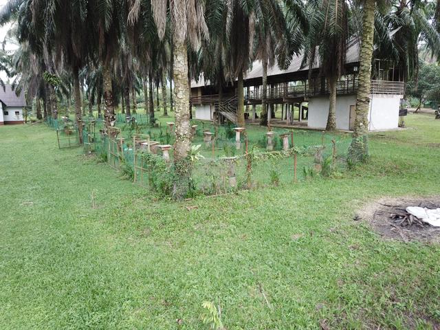 10 Acre Freehold Agricultural Land with Good Potential 1