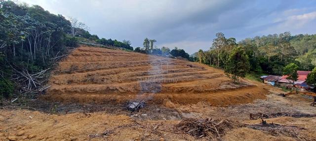 Perkhidmatan sewaan Jentera berat berantai 3