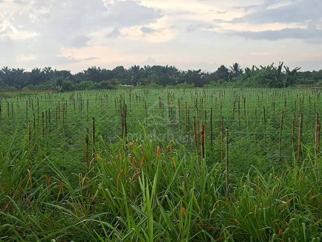 Klang Agricultural Land for Sale, Johan Setia, Klang, 🎈1 Acre Flat 5