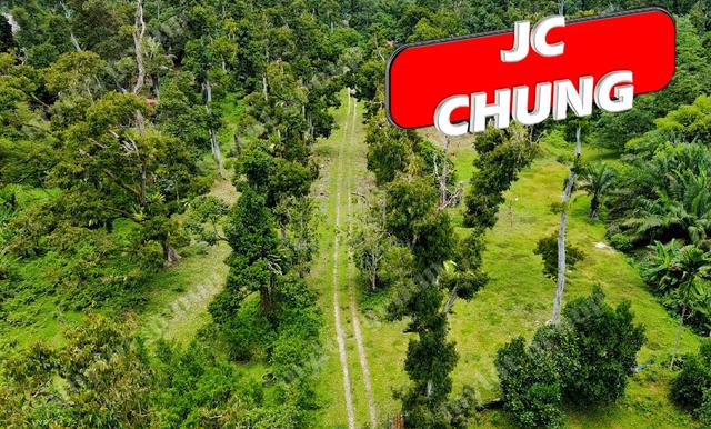 Bandar Baharu | Kedah  丨 Near SP 1
