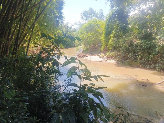 Tanah tepi sungai cantik untuk dijual 1