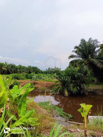 2.5 Ekar FH Malay Reserve Kg Pasir Panjang Sg Besar Sabak Bernam 1